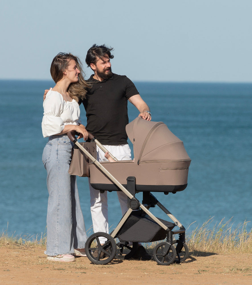 Carucior Carrello Ultra 2 in 1
