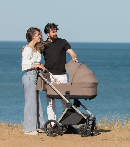 Carucior Carrello Ultra 2 in 1